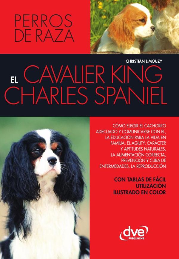 El cavalier king charles spaniel