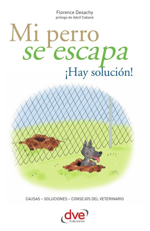Mi perro se escapa ¡Hay solución!