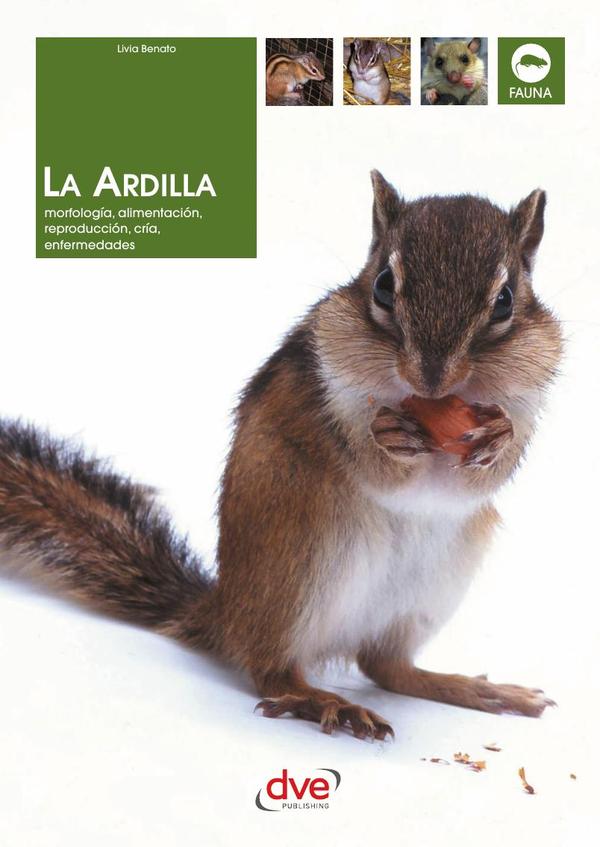 La ardilla